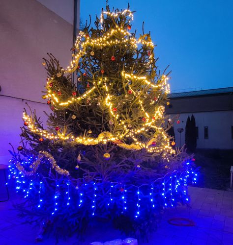 Karácsonyi ünnepváró